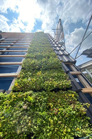 Referenzen - Dachbegrünung